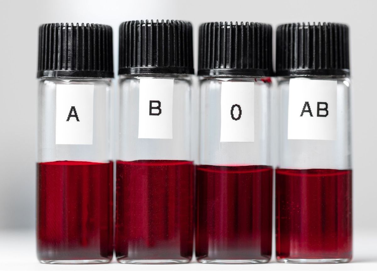 Tipo sangu&iacute;neo revela muito sobre nossa&nbsp;personalidade